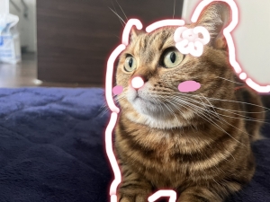 働く時間でメリットがあります♪のアイキャッチ画像