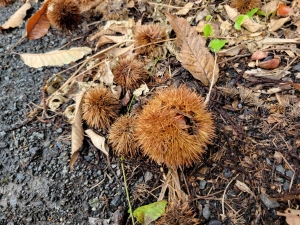 人肌恋しい♡のアイキャッチ画像