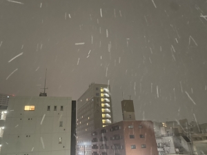 雪、容赦なさすぎ問題のアイキャッチ画像