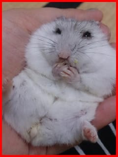 木山さん