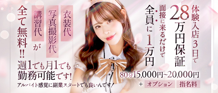 セシルの風俗求人画像