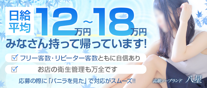 八星の風俗求人画像