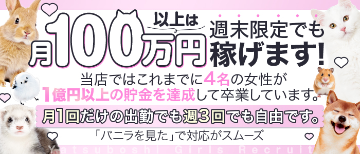 八星の風俗求人画像