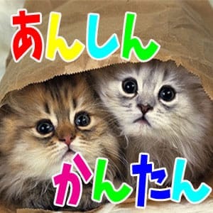☆よくある質問『実技講習はありますか？？』☆  にお答えいたします！のアイキャッチ画像