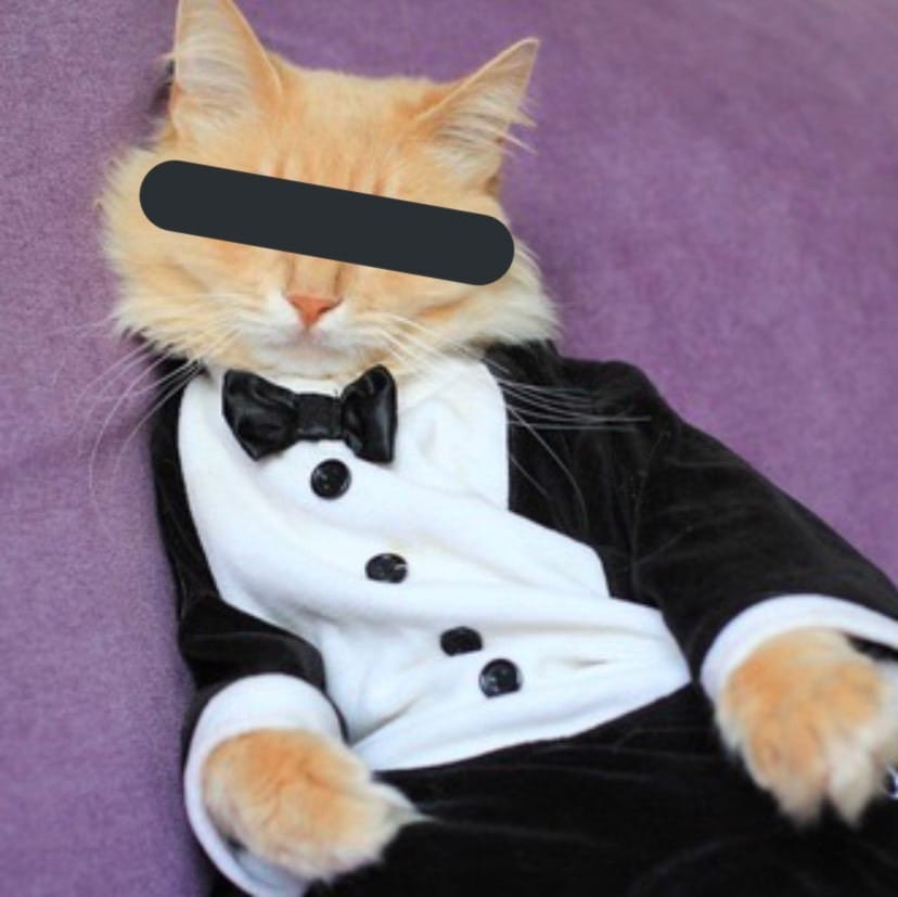 おとなのわいせつ俱楽部ってどんなお店なの…？ 2026-03-09 21:41:31 | おとなのわいせつ倶楽部 池袋店店長ブログ