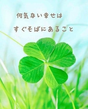❤在籍している女の子の「経験者/未経験者」の割合をざっくり教えてほしいです！❤ 2026-05-13 23:43:18 | ゆるふわKISS店長ブログ