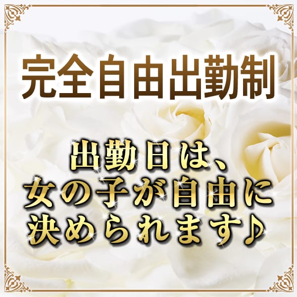 もし亀名古屋店は完全自由出勤で！！！ 2026-02-11 01:28:07 | もしもし亀よ亀さんよ 名古屋店店長ブログ