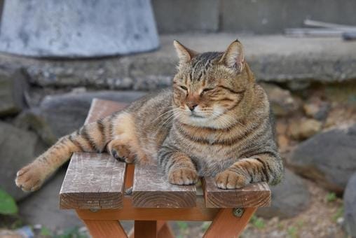 スタッフについて☆ 2025-12-09 23:00:46 | 渋谷風俗 奥様発情の会店長ブログ