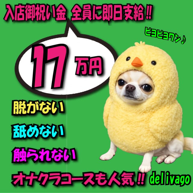 お祝い金含む1７万円！！面接に来た女の子全員に日払い中です！！ 2026-05-20 01:06:26 | デリヘル選びは delivago店長ブログ