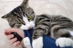 ブログ投稿者さんは夏派？冬派？ 2026-07-13 11:26:50 | 変態美熟女お貸しします。店長ブログ