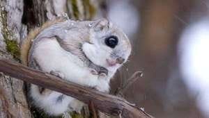 なぜ未経験に選ばれるのか！理由が明らかに！ 2026-01-21 23:08:22 | SAPPORO ばつぐんnet店長ブログ