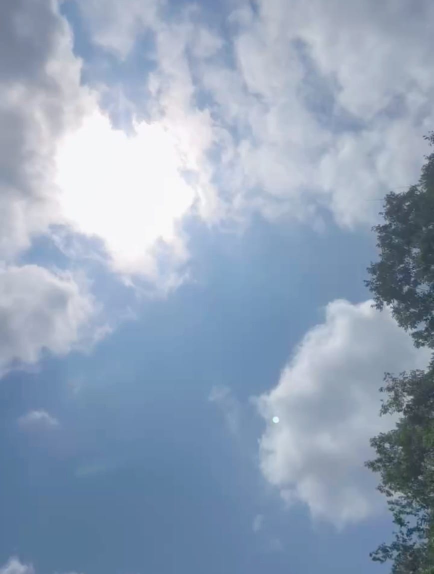 【フリーのお仕事ほど次に繋がるチャンス！】 2026-03-15 08:54:03 | One More 奥様 立川店店長ブログ