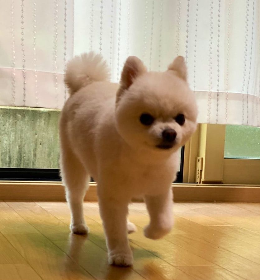 他店にあんまりない？当店のウリ☆ 2026-04-20 14:09:25 | 女々艶 厚木店店長ブログ