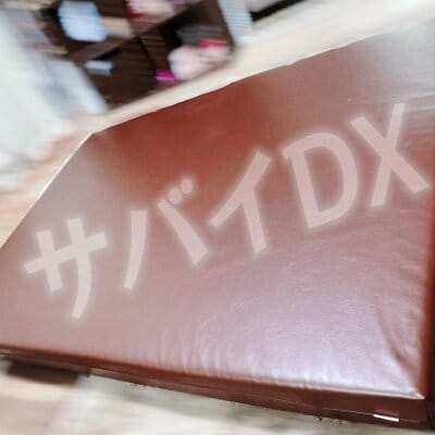 ハイレベルな施術を望む方には高収入をお約束致します！他店との違いを体感して下さい♪  2026-01-10 03:55:36 | もみ処 ふたば店長ブログ