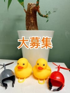 本日の話題は【業界未経験】です♪ 09:07 - 2026年08月08日 | 熊本DEマットっ&amp;ひよこ治療院店長ブログ