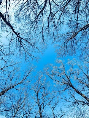 もう降らないよね？ 2026-03-12 12:00:38 | 熟女の風俗最終章 仙台店店長ブログ