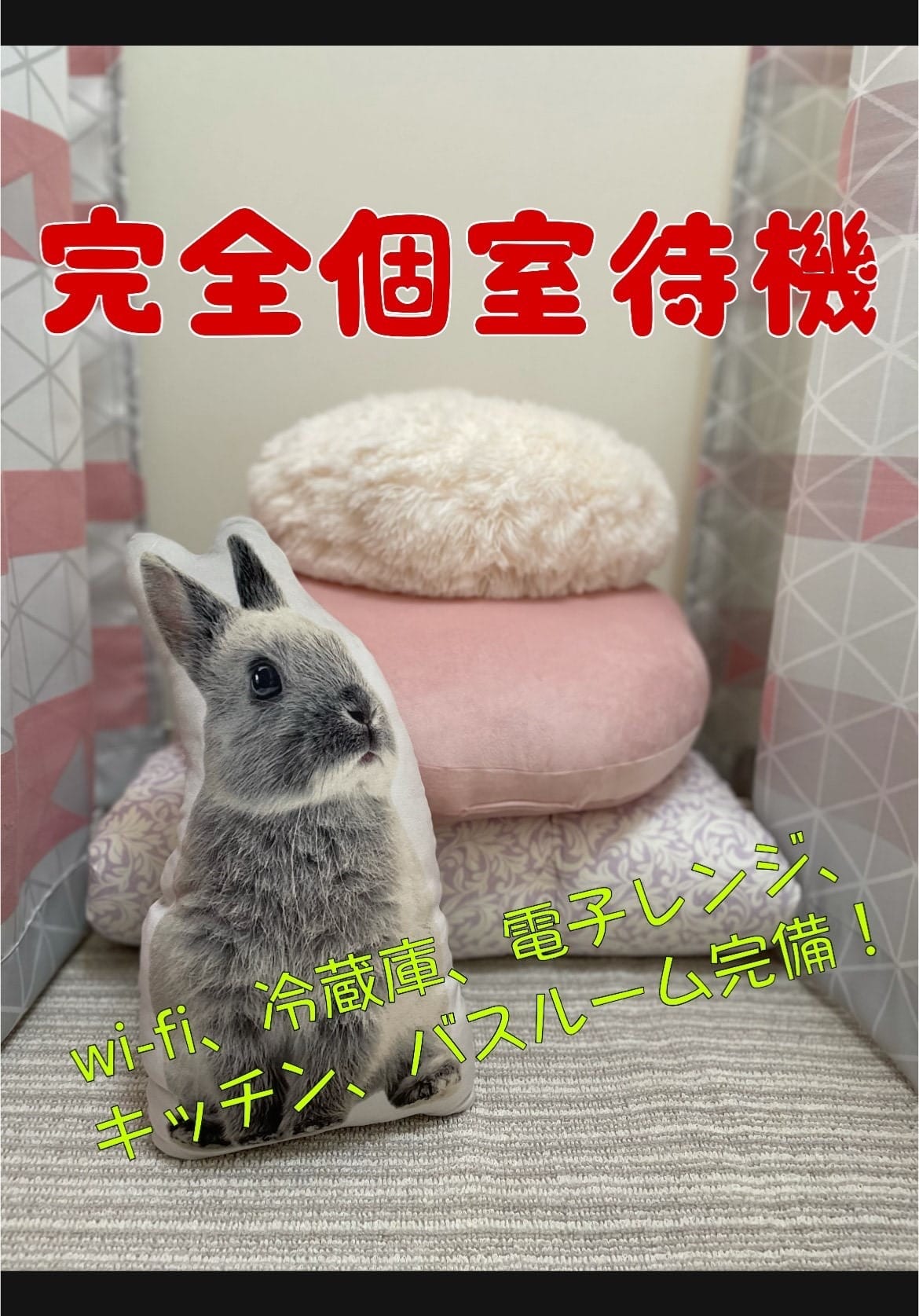 プライベート空間ばっちり♪ゆっくり過ごせる環境、準備しております♪ 2026-02-10 23:08:27 | 香川高松ちゃんこ店長ブログ