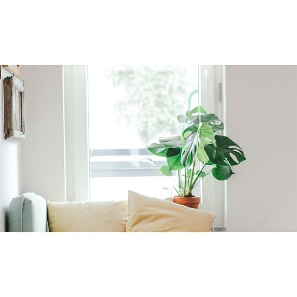 当店の体験入店について☆ 2026-02-13 07:04:29 | Aphrodite～アフロディーテ～店長ブログ