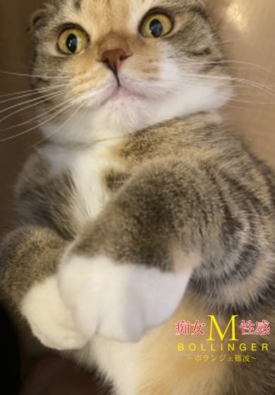 性病、感染症のリスクを回避した安心度120％です(^o^) 2026-01-18 12:30:36 | 痴女M性感ボランジェ池袋店長ブログ