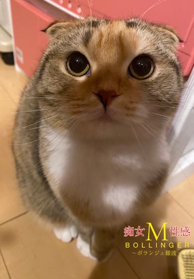 手コキ専門店！20代～30代の責め好き女子稼いでます♪ 2026-01-21 12:30:32 | 痴女M性感ボランジェ池袋店長ブログ