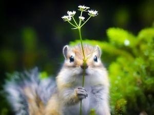 心配ご無用！！女性に優しいお店★ 2025-12-13 11:33:17 | ガチ妻コレクション店長ブログ