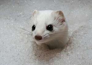 相談してもらうことが店長の喜びです(*'▽') 2026-02-12 15:26:20 | ドルチェ店長ブログ