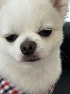 緊張せずにお仕事につけるコツや考え方ってありますか？ 2026-09-13 18:30:34 | クラブオーディション 松本店店長ブログ
