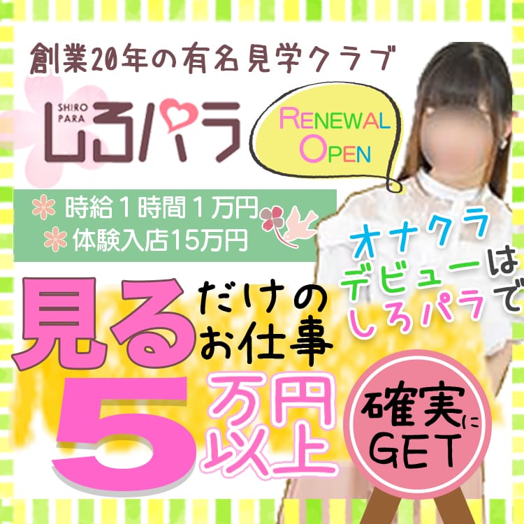 未経験でも見るだけで５万円以上！オナクラデビューは創業20年の「しろパラ」が安心☆ 2026-07-14 21:28:42 | しろパラ店長ブログ
