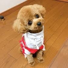 乾燥とごほうびSPAのオイルについて☆ 2026-05-09 19:09:22 | ごほうびSPA神戸店店長ブログ