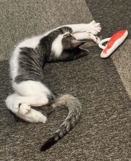 神栖で２９年!!真面目なデリヘル 2025-09-19 23:21:47 | スッキリ商事店長ブログ