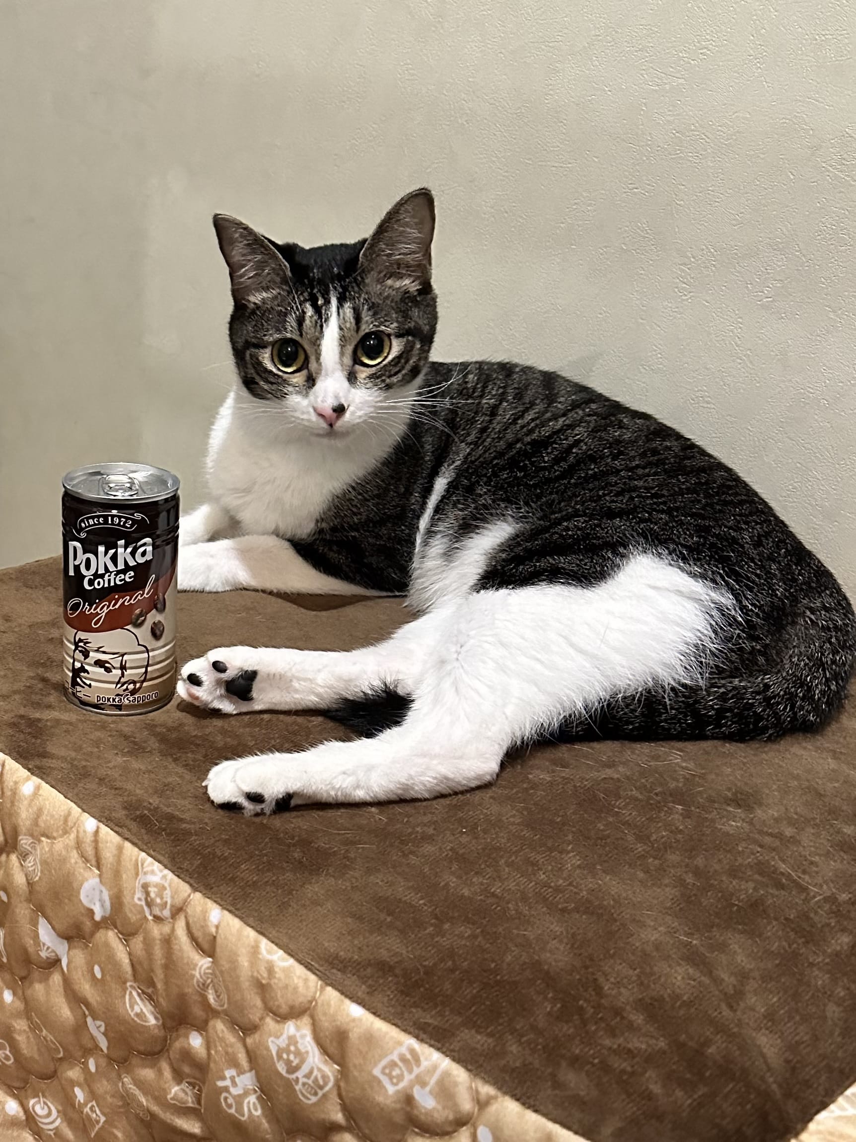 神栖で29年 2025-10-18 23:10:44 | スッキリ商事店長ブログ