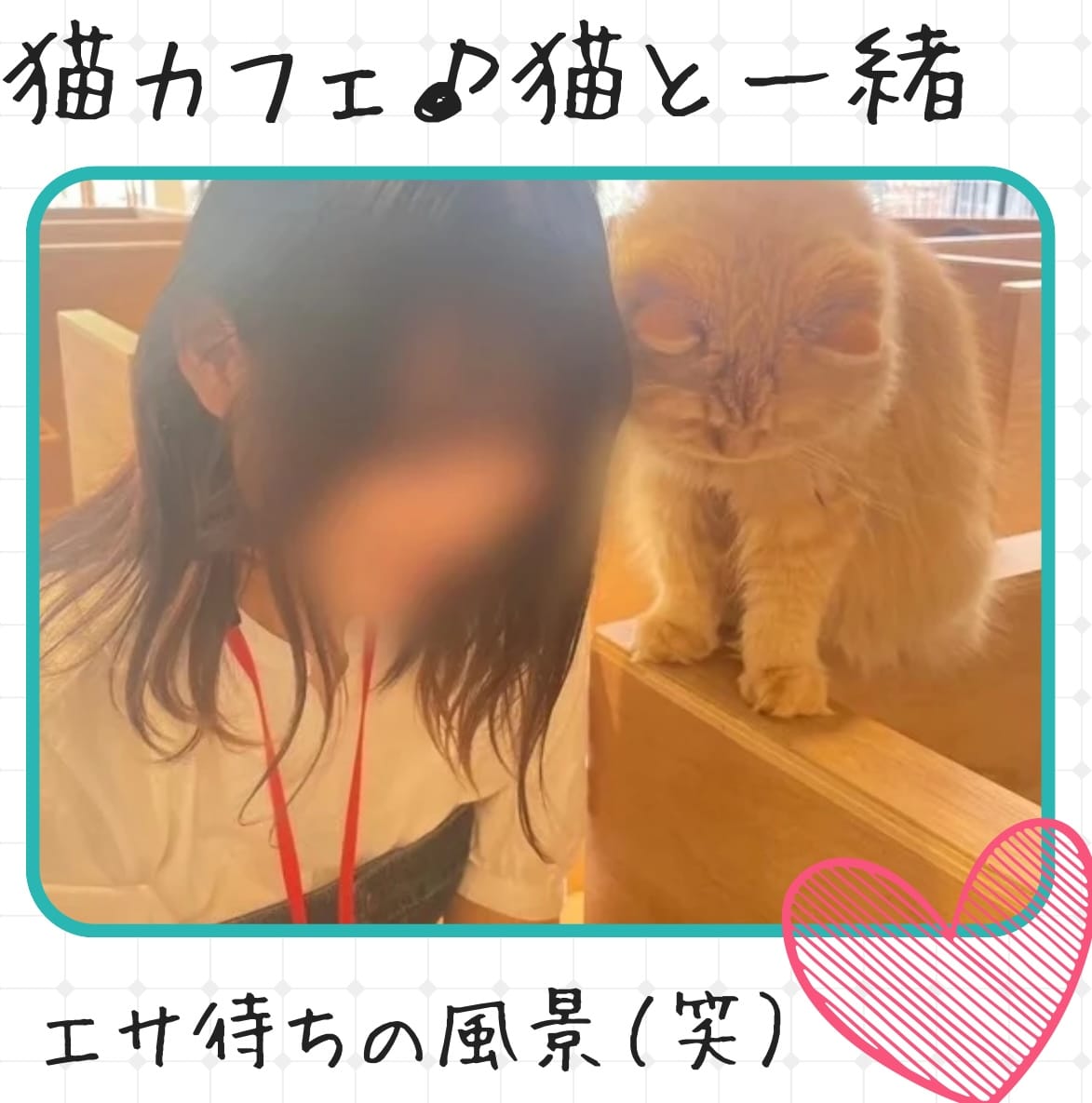 顔出しと顔出し無しでは・・どうなりますか？ 2026-08-16 16:01:26 | 縁結び学園店長ブログ