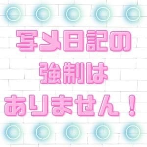 写メ日記の強制はありません！ 16:11 - 2026年09月15日 | Kirari店長ブログ