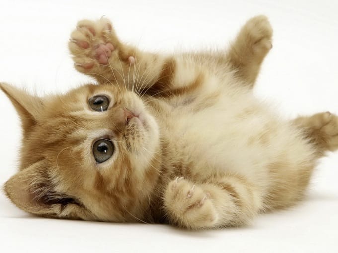 セラピストさん急募✨経験者・未経験者大歓迎 2026-03-15 19:00:43 | LuxurySpa 天空海～アクア～北24条ルーム店長ブログ