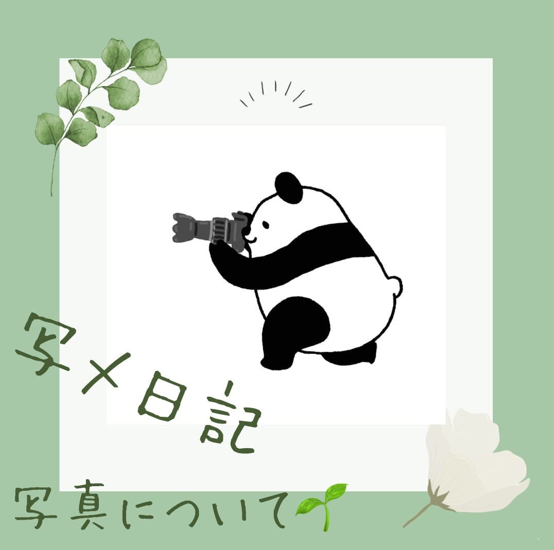 写メ日記の写真について 2025-08-04 23:02:26 | 高知ちゃんこ店長ブログ