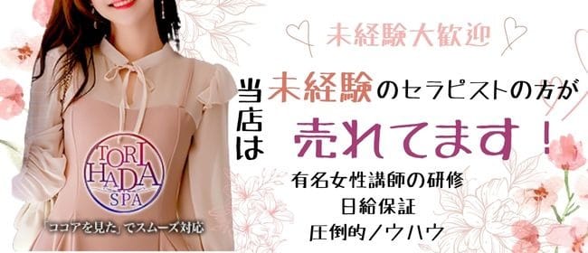 トリハダスパは業界最高水準の超高待遇♪ 2026-05-20 18:38:22 | 〜TORIHADA SPA〜店長ブログ