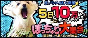 体系に自信がないから面接で断られるのか不安？ 2026-07-14 13:53:30 | ぽちゃカワ女子専門店 藤沢湘南店店長ブログ