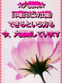 (北九州)日曜日だけでも働ける方募集！！25歳～60歳で高収入・短期アルバイトをご希望の方大募集 2026-09-14 08:52:48 | 北九州人妻倶楽部（三十路、四十路、五十路）店長ブログ