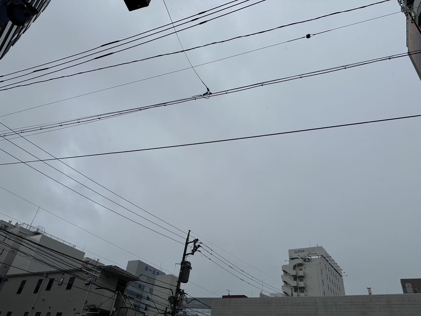 寒かったり暑かったり。。。 2025-12-05 11:12:41 | Last Resort店長ブログ