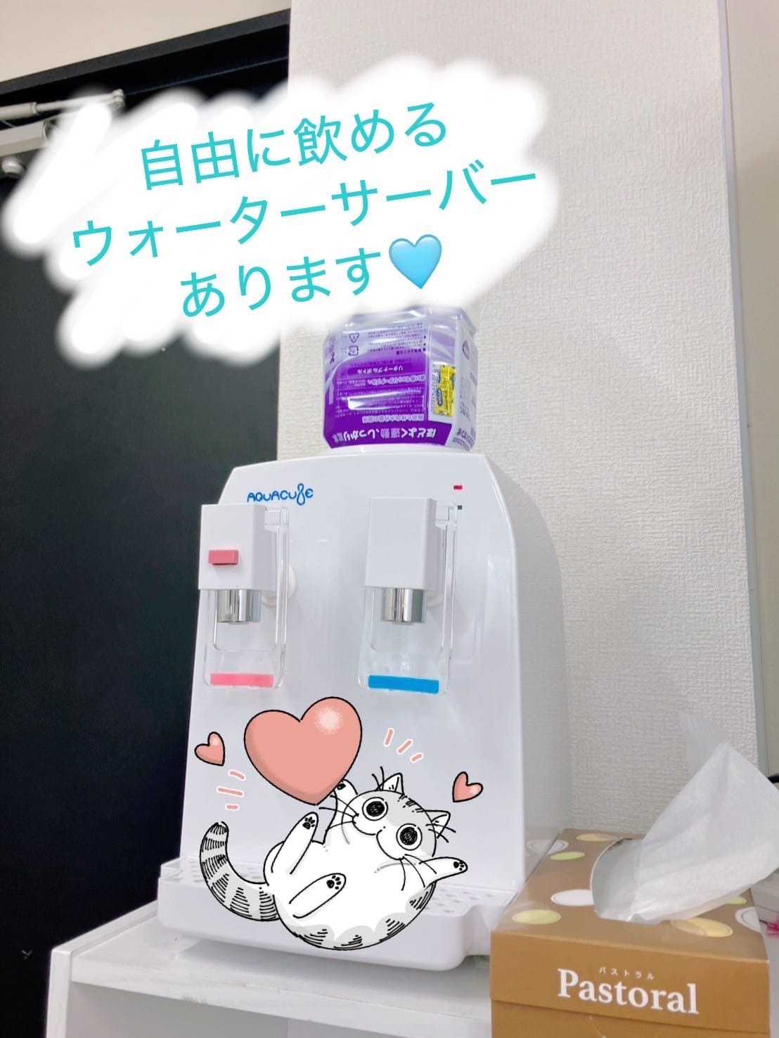 店舗紹介～色々編～  2026-01-16 02:00:23 | iris~アイリス~店長ブログ