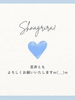 リニューアルOPENにつき大募集！ 2026-05-12 12:35:23 | シャングリラ店長ブログ