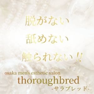 舐めない・脱がない・触られない☆完全非風俗宣言☆ 2026-06-14 06:19:18 | Royal Thoroughb（ロイヤルサラブ）店長ブログ