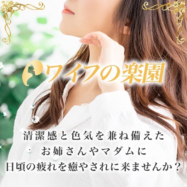 Q&Aシリーズ　お店のHPの写真 2025-08-03 09:24:29 | ワイフの楽園店長ブログ