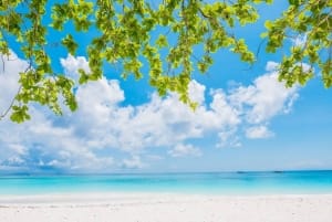 この夏、稼ぐならCNY? 2026-07-07 15:20:11 | CLUB NEWYORK店長ブログ