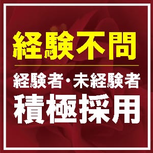 経験不問！経験者・未経験者 積極採用中!!【30代後半～50代前半人妻さん急募】 2025-12-12 20:41:09 | ツバキ by プレイボーイ店長ブログ