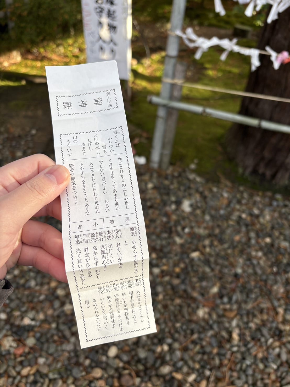 あけましておめでとうございます 2026-01-04 22:13:06 | Linoa（リノア）店長ブログ