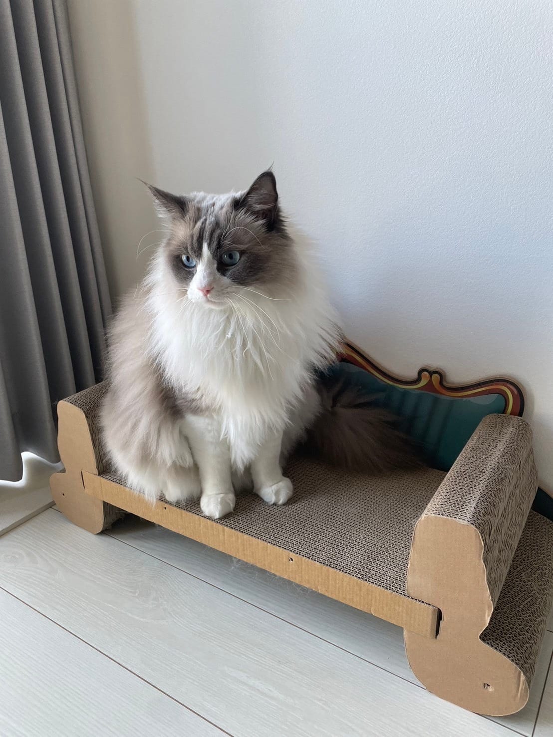 【30代・40代大歓迎】オーナー（猫）が本気で言うにゃ。「もう遅くない」ってやつ！ 2026-02-12 19:01:11 | 大人のごほうび店長ブログ