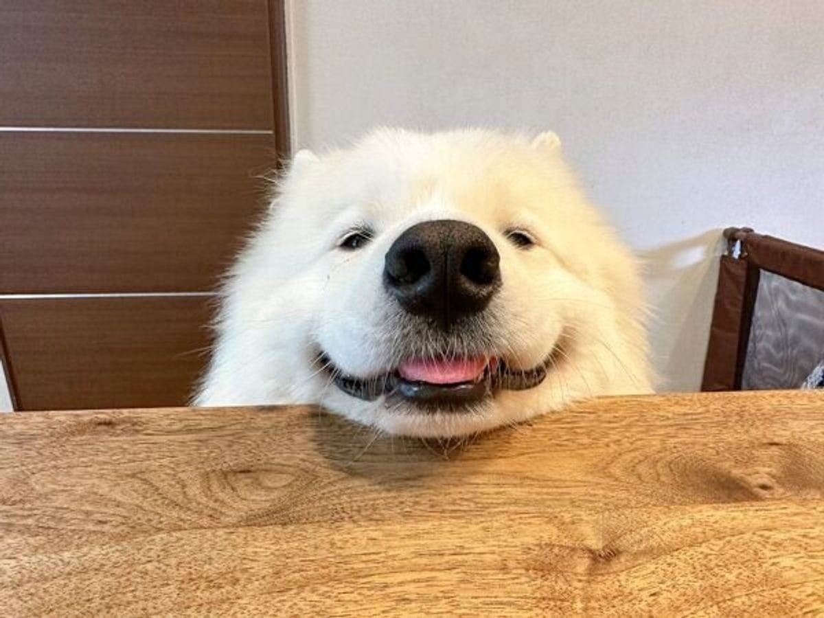 【全額日払い】「明日、旅行に行きたい」「あのバッグが欲しい」を今日叶える 2026-02-10 15:11:39 | 2度目の保育園店長ブログ