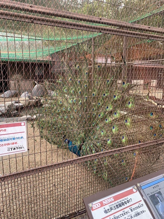 愛すべき動物たち第９弾 2026-09-13 13:00:07 | MOZAIC（カサブランカG）店長ブログ