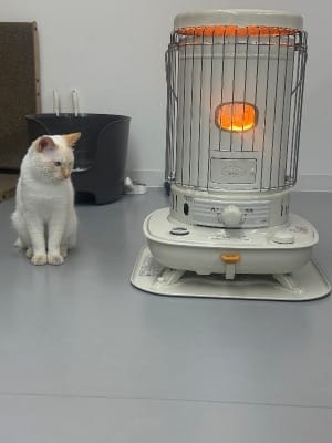 かんたん「初出勤レシピ」をこっそり公開します♡ 21:00 - 2026年04月09日 | もえたく店長ブログ